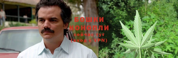 ПСИЛОЦИБИНОВЫЕ ГРИБЫ Новодвинск