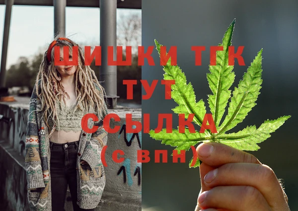 СК Слюдянка
