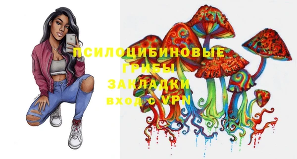 альфа пвп Новокубанск