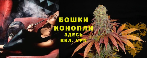 ПСИЛОЦИБИНОВЫЕ ГРИБЫ Новодвинск