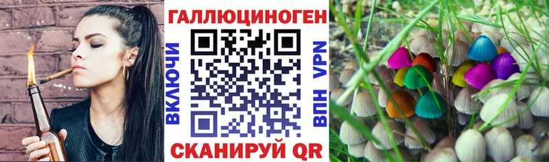 Галлюциногенные грибы Magic Shrooms  Амурск 