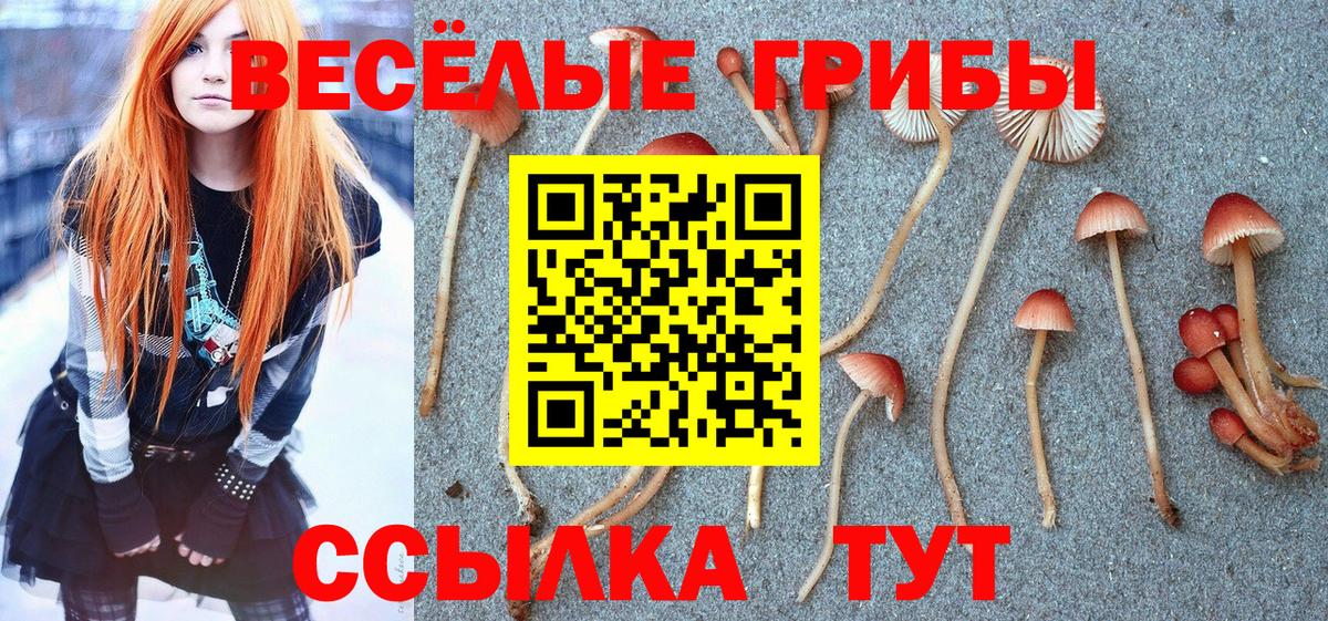 Псилоцибиновые грибы мицелий Амурск