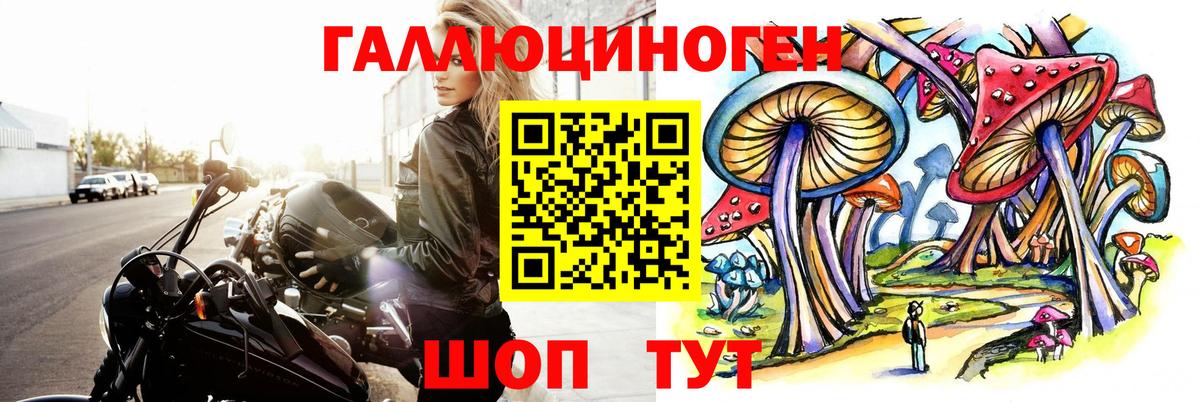 Псилоцибиновые грибы Psilocybine cubensis  цена наркотик  Псилоцибиновые грибы GOLDEN TEACHER  Амурск  Вход с VPN 