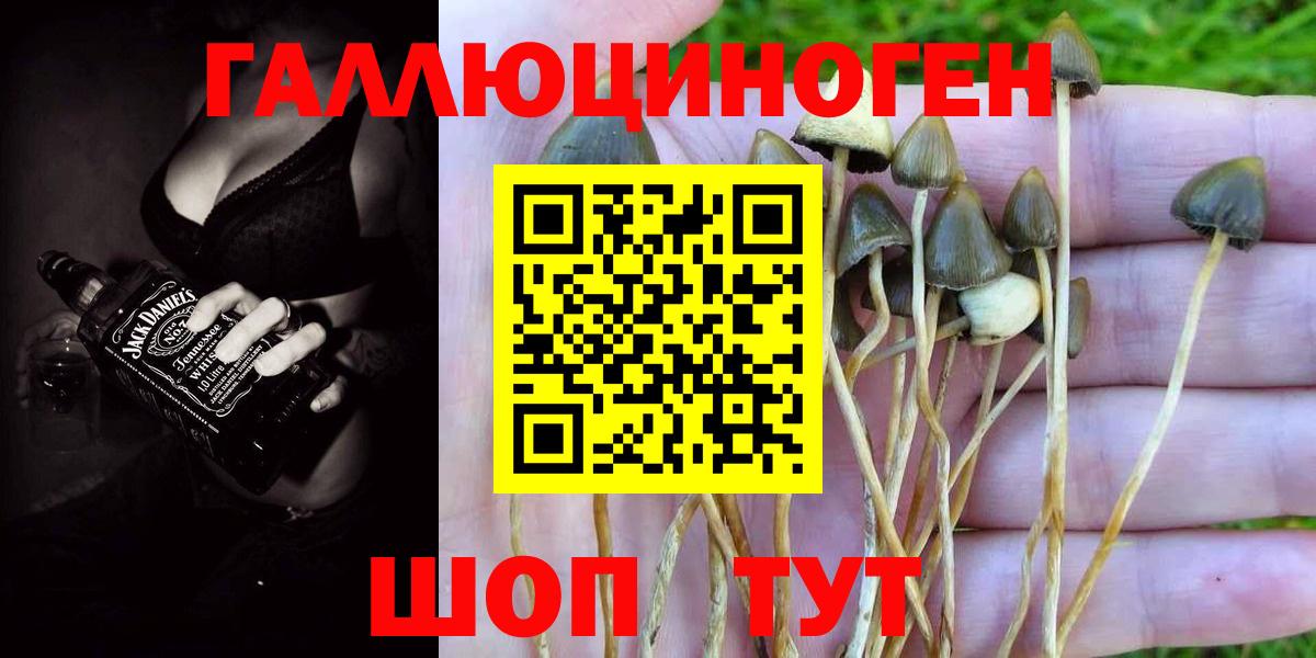 Галлюциногенные грибы мухоморы  Амурск 