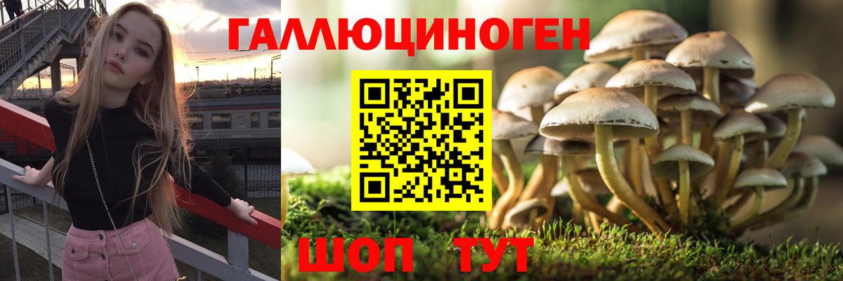 Амурск  Галлюциногенные грибы ЛСД  Псилоцибиновые грибы Cubensis  Вход с VPN 